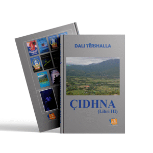 Çidhna III
